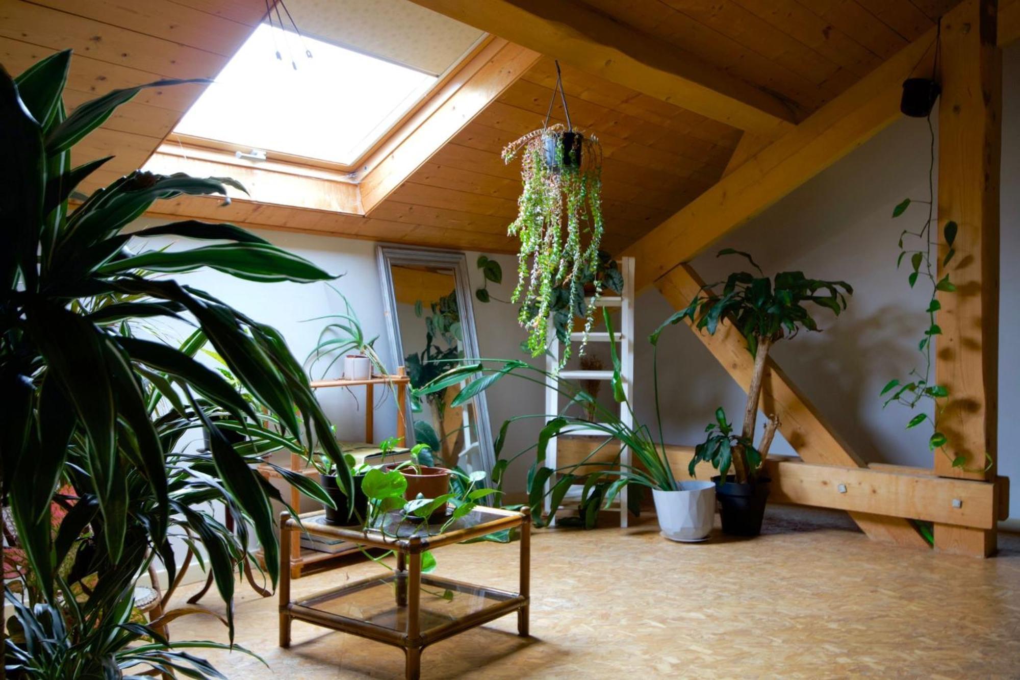Loft Haut De Gamme Entre Verdure Et Ville Chaudefontaine  Εξωτερικό φωτογραφία